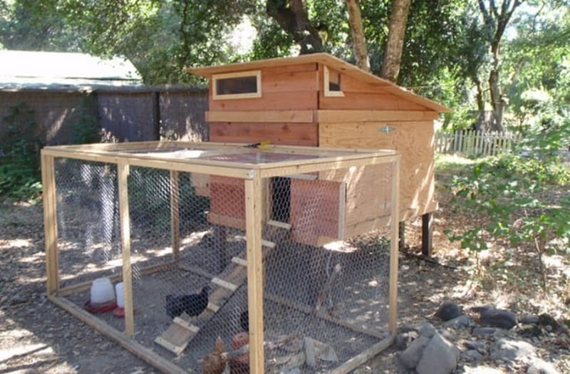 Cách làm chuồng nuôi gà đá khá đơn giản kể cả với người mới