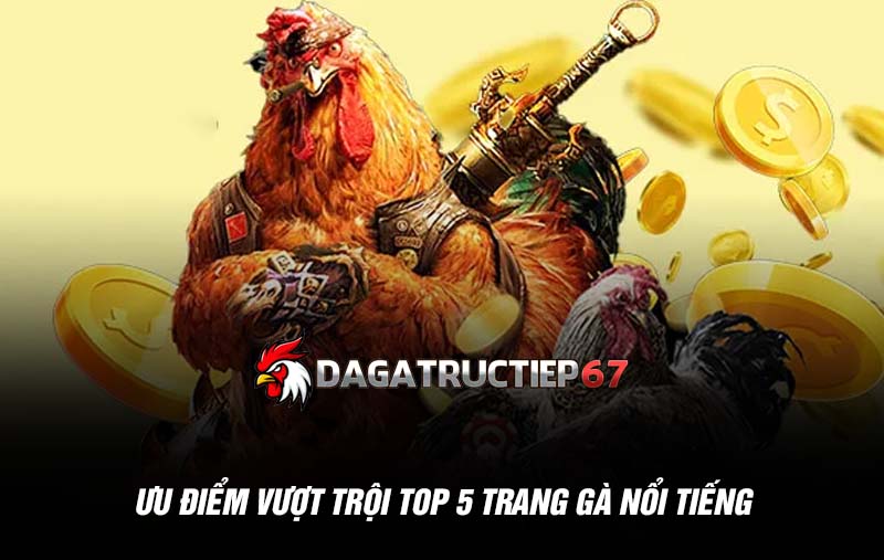 Ưu điểm vượt trội top 5 trang gà nổi tiếng